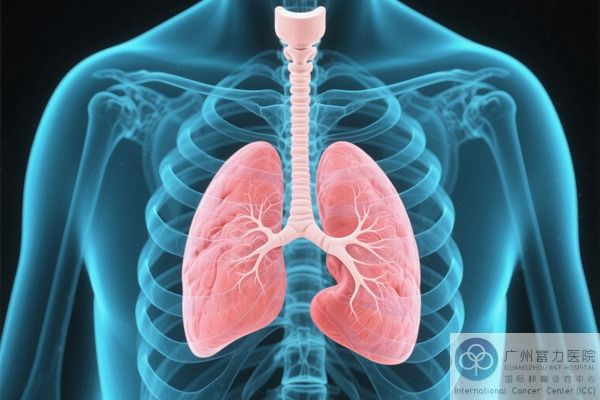 肺癌.jpg